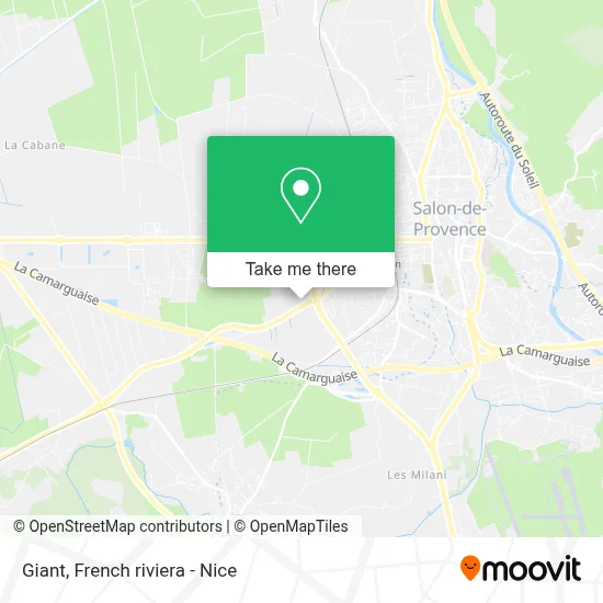 Giant map