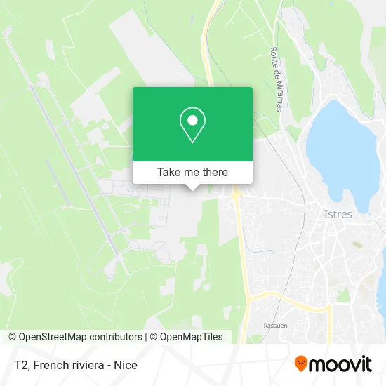 T2 map