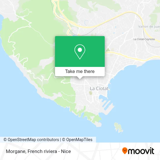 Morgane map