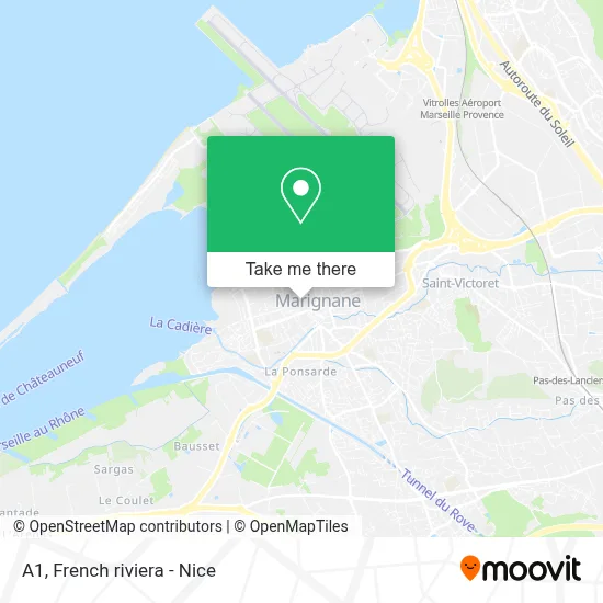 A1 map