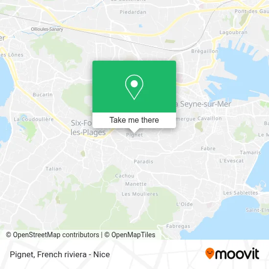 Pignet map
