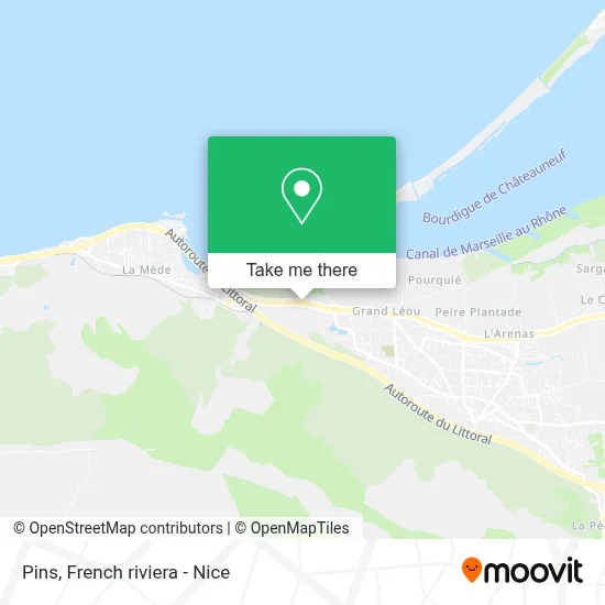 Pins map