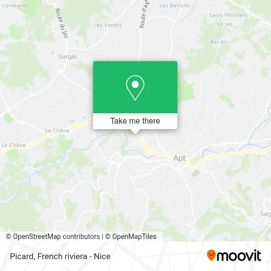 Picard map