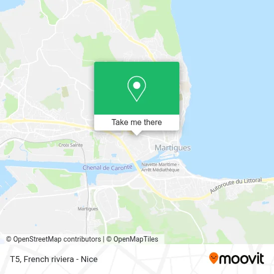 T5 map