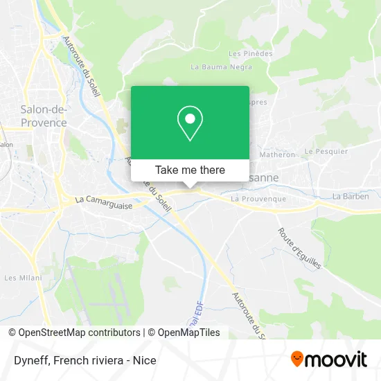 Dyneff map