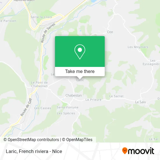 Laric map