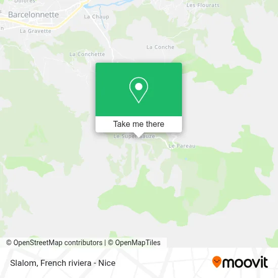 Slalom map
