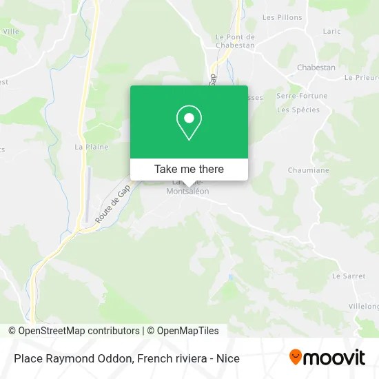 Place Raymond Oddon map