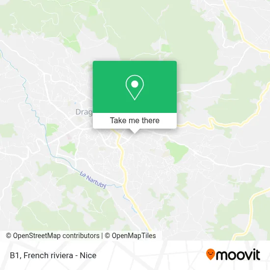 B1 map
