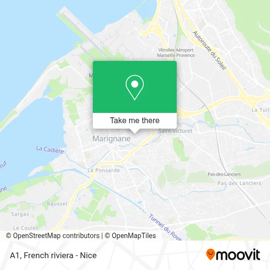 A1 map