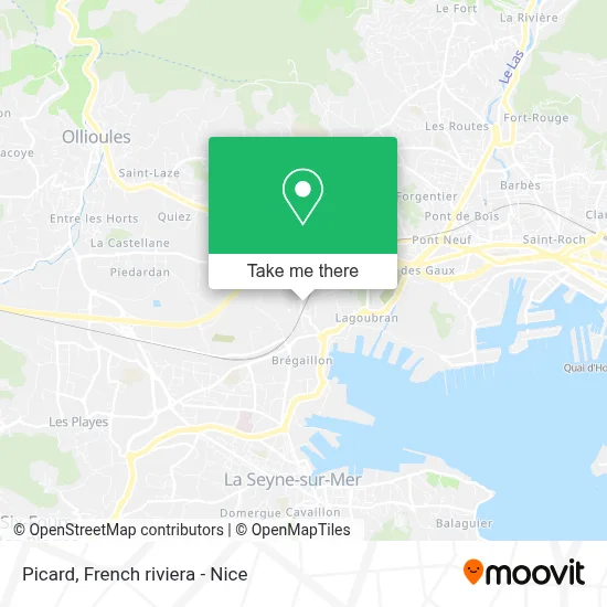 Picard map