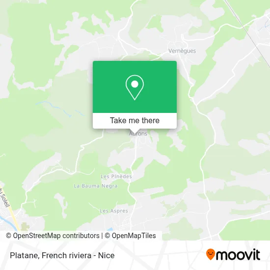 Platane map