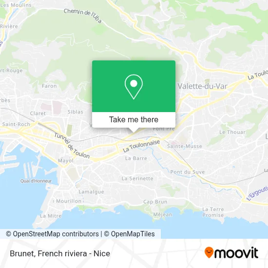 Brunet map