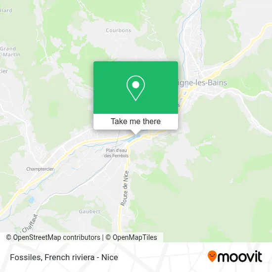 Fossiles map