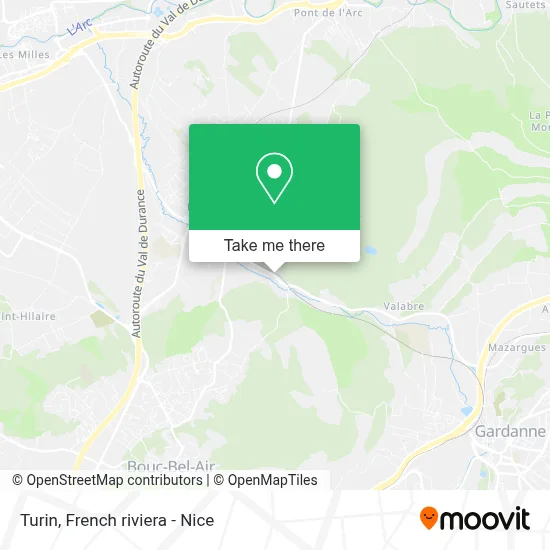 Turin map