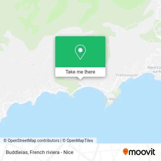 Buddleias map