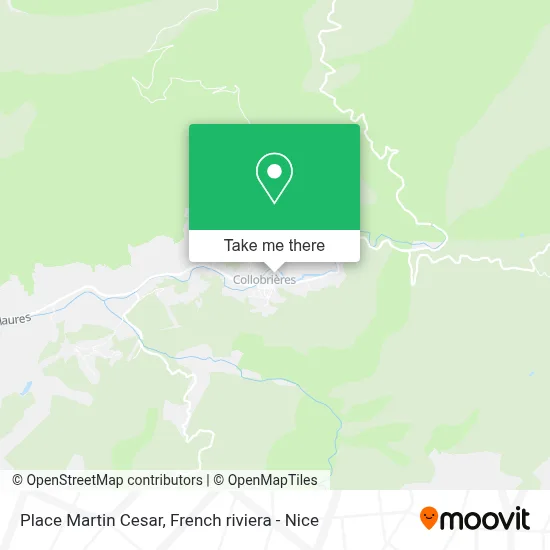 Place Martin Cesar map