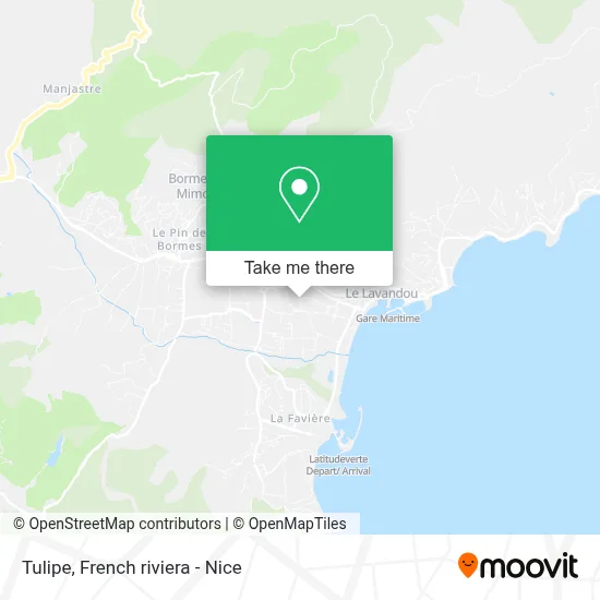 Tulipe map