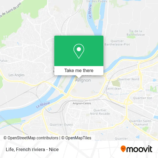 Life map