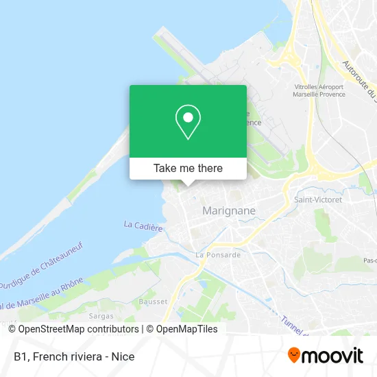 B1 map
