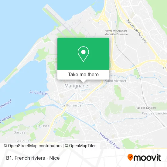 B1 map