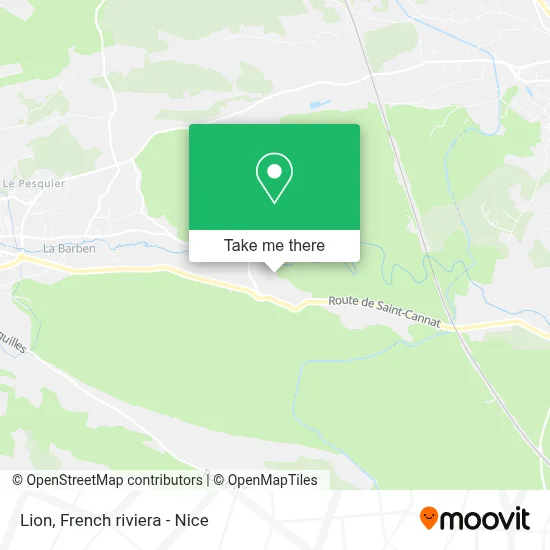 Lion map