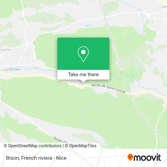Bison map