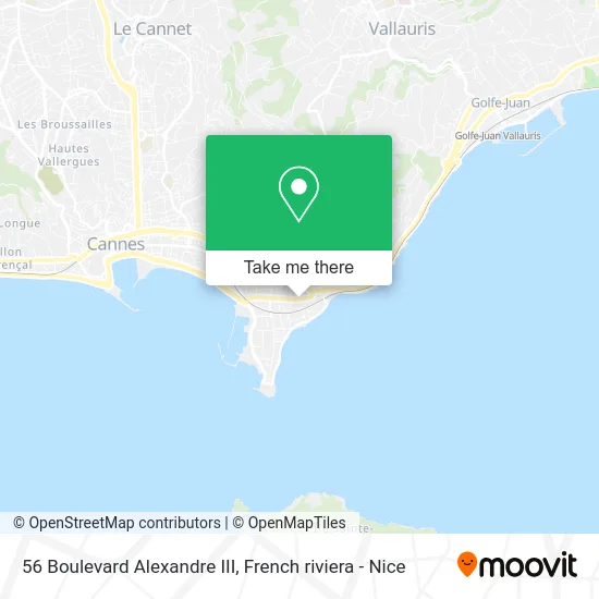 56 Boulevard Alexandre III map