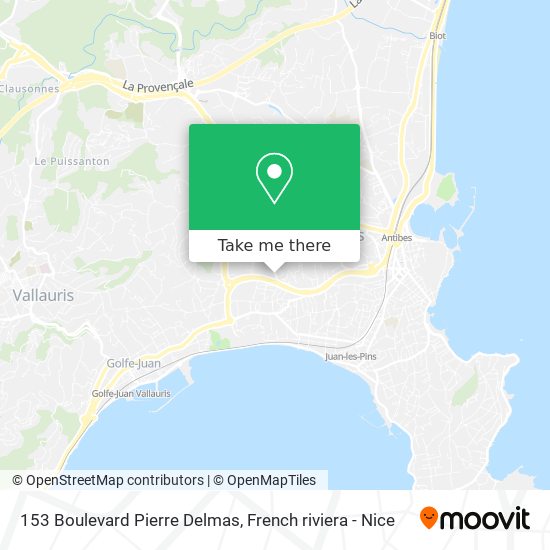 153 Boulevard Pierre Delmas map