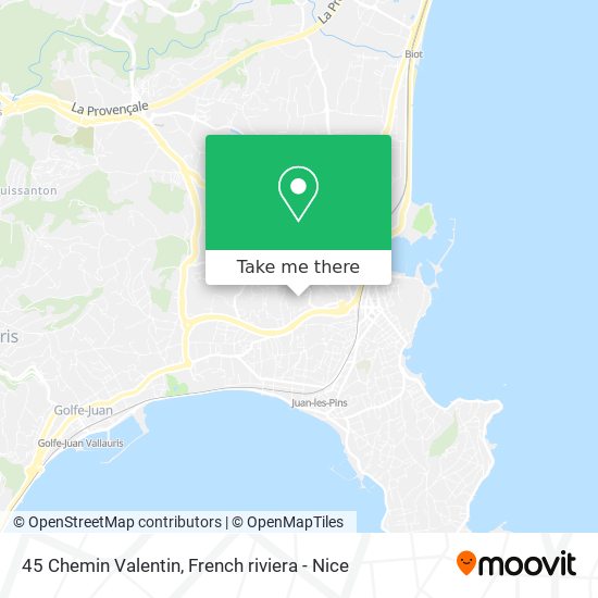 45 Chemin Valentin map