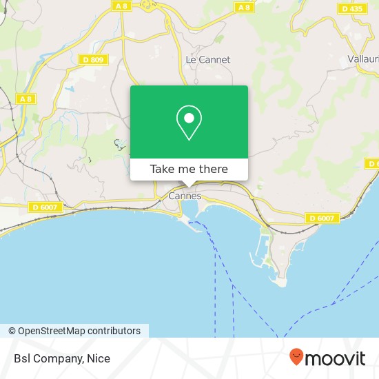 Mapa Bsl Company, 20 Rue Meynadier 06400 Cannes