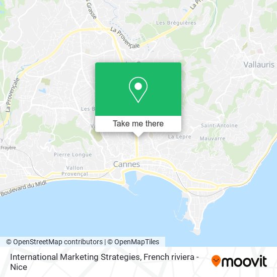 International Marketing Strategies map