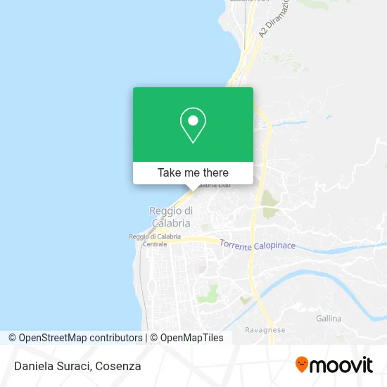 Daniela Suraci map