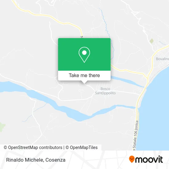 Rinaldo Michele map