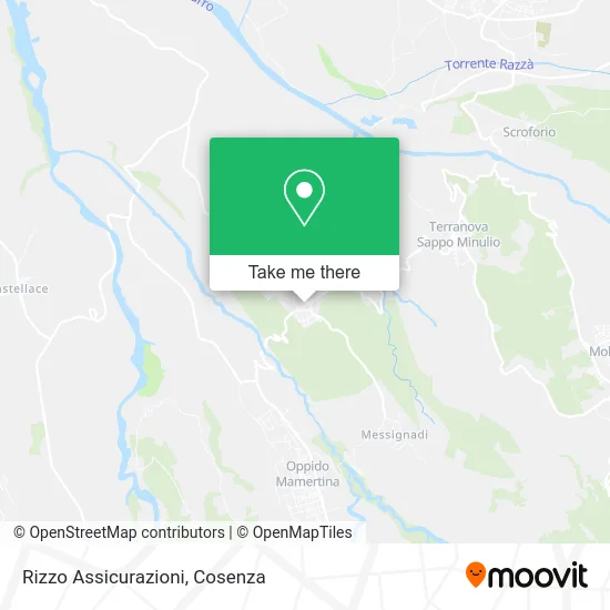 Rizzo Insurance map