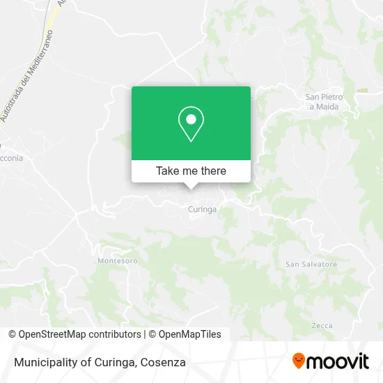 Municipality of Curinga map