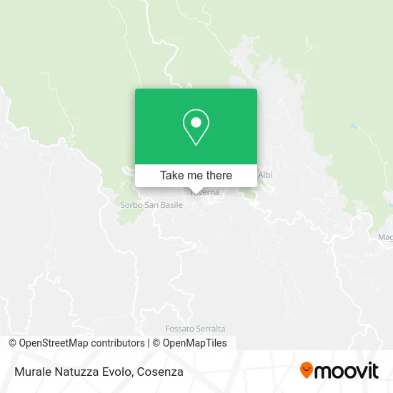 Murale Natuzza Evolo map