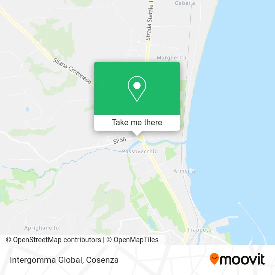Intergomma Global map