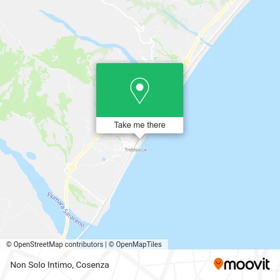 Not Only Intimate map