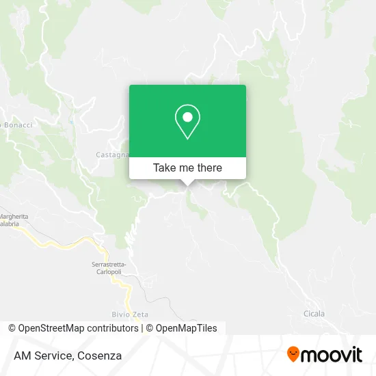 AM Service map