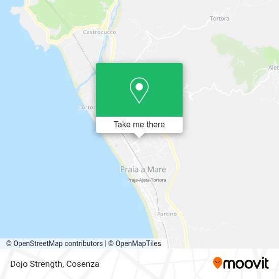 Dojo Strength map