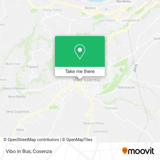 Vibo In Bus map
