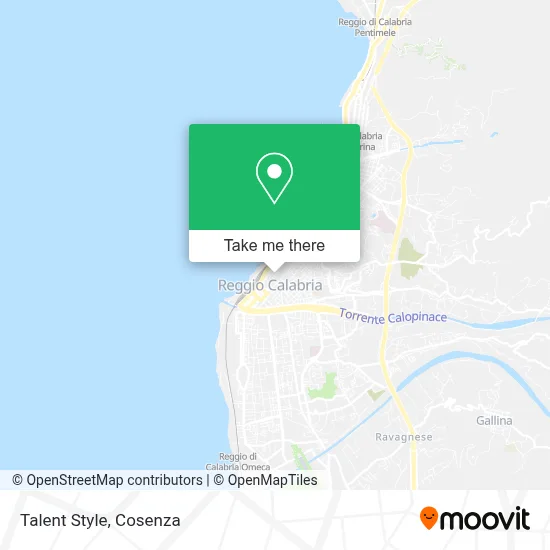 Talent Style map