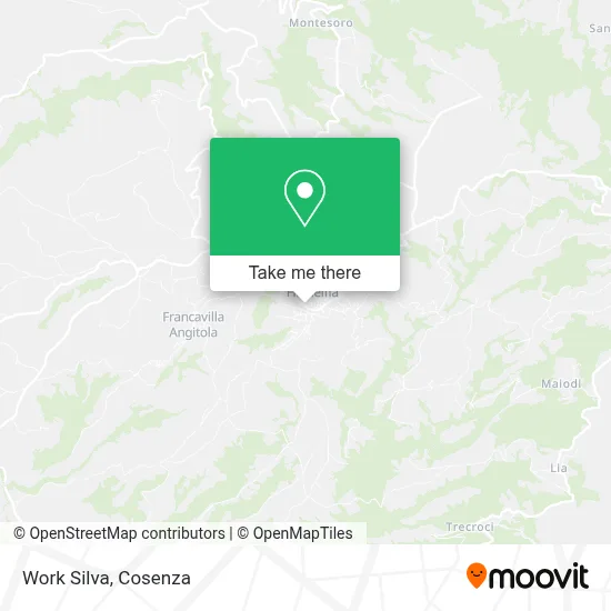 Work Silva map