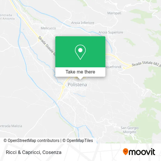 Ricci & Capricci map