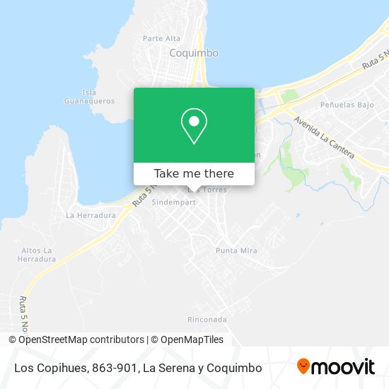 Los Copihues, 863-901 map