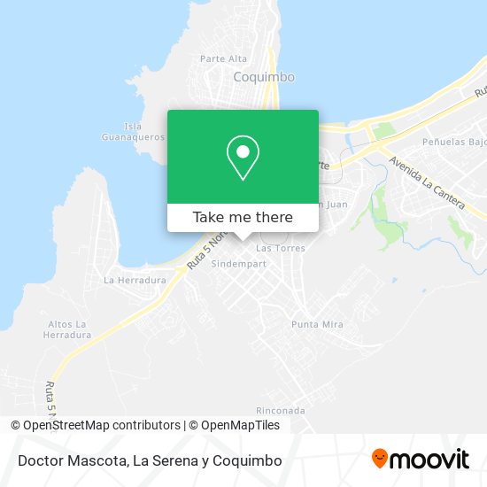 Mapa de Doctor Mascota