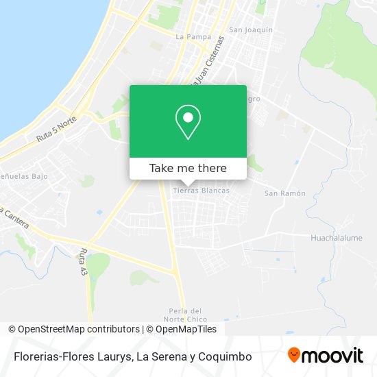 Florerias-Flores Laurys map