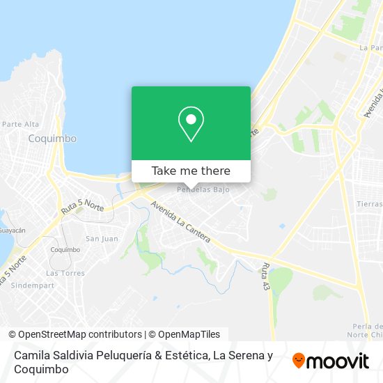 Camila Saldivia Peluquería & Estética map