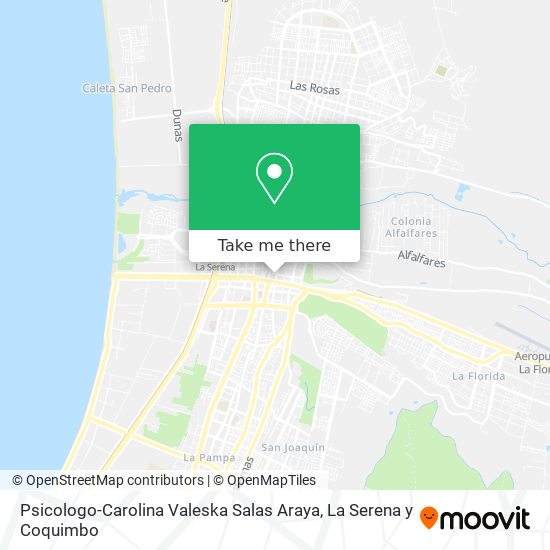 Psicologo-Carolina Valeska Salas Araya map
